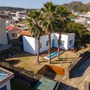 돌담민박 | 제주 돌담갬성 가득한 힐링[사계새나하우스]