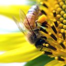 반디한의원 이미지