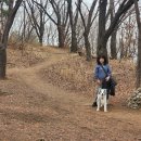 호천식당 이미지