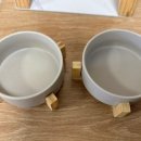 펫 유토피아 이미지