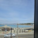 코메트커피 | 제주 이호일동 '코메트 이에프' 짧은 후기 (내돈내산/제주시카페/제주공항카페/이호테우오션뷰/오션뷰카페)