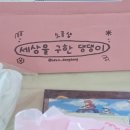 마켓박스 | 랜덤스쿱으로 만나는 산리오 감성, 스쿱마켓 S사이즈 랜덤박스 언박싱 후기