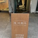부산/ 개,이쁘다– 5개월 아기 포메라니안의 첫 미용 후기