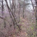 처사마을회관 이미지