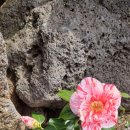 희석목장 이미지