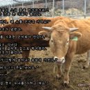 이야기둘