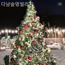 역골농장 | 인천 계양구 다남동 애견카페 다남숲멍빌리지 실제 방문 후기와 리얼 팁