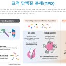 오름미트 이미지