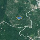 보성공인중개사사무소 이미지