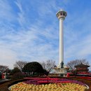 용두산공원 이미지