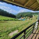 정선양떼목장 이미지