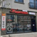 워시테리아본오점 이미지