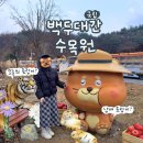 봉화랜드 | 솔토리의 "봉화" 기록 일지 <국립백두대간수목원> 후기 12월 겨울여행