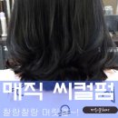 헤어머리꾼 이미지