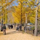 소금랜드 이미지