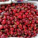 호남청과 이미지