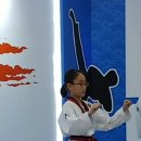 참다운태권도 이미지