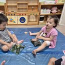 푸른산i어린이집 이미지