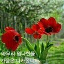 한국추임새문화원