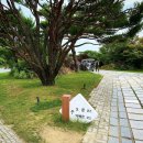 파리바게트대유