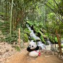 GR(담양군)-[담순로]-상-10 | 3박 4일 담양 여행 2일차 - 죽녹원, 동수네 빵집, 쌍교 숯불갈비, 카페 밀밀