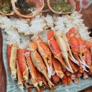 오렌지 애견 클럽 이미지