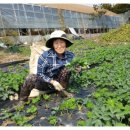 유옥농장 이미지