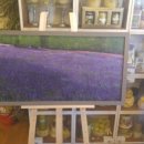 국제이민행정사 이미지