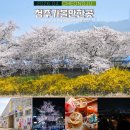 청주예술의전당 대전시실 | 청주 가볼만한곳 추천 무심천 벚꽃 축제 포함 5곳 청주 여행