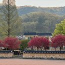 도화보건지소 이미지