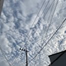 요아페 포켓볼 당구장 이미지