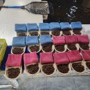 얼빵낚시카페 이미지