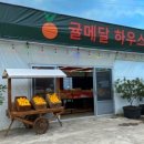 귤메달 하우스