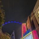 플라밍고 | [7박8일 LA여행기, 3일차] 라스베가스 플라밍고 호텔 후기(feat. 모델로 맥주 콘 칠리는 비추...)