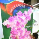 나라유통 이미지