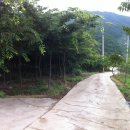 송호농장 이미지