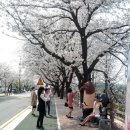 낙동강변19 이미지