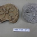 제주 항파두리 항몽 유적 이미지