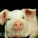 pet144더2463 | 오늘날 일기51