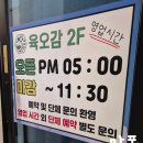 육오감