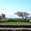 아르아토 이미지