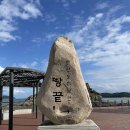 땅끝마을홍어 이미지