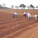 이서농장 이미지