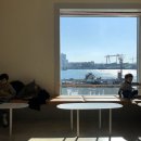 셀로스터스 이미지