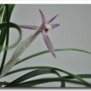 전라북도청 대강당 이미지