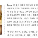 색채심리 이미지