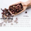 [캐나다쉬핑] 한국을 대표하는 채소 발효 식품 김치와 김치 냉장고의 효과 이미지