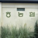 거제도카페 짹짹커피 거제도 본점 농협 건물을 개조한 이색핫플