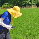 원주굽이길 10코스 북원역사길 이미지