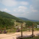 남상면-35 이미지